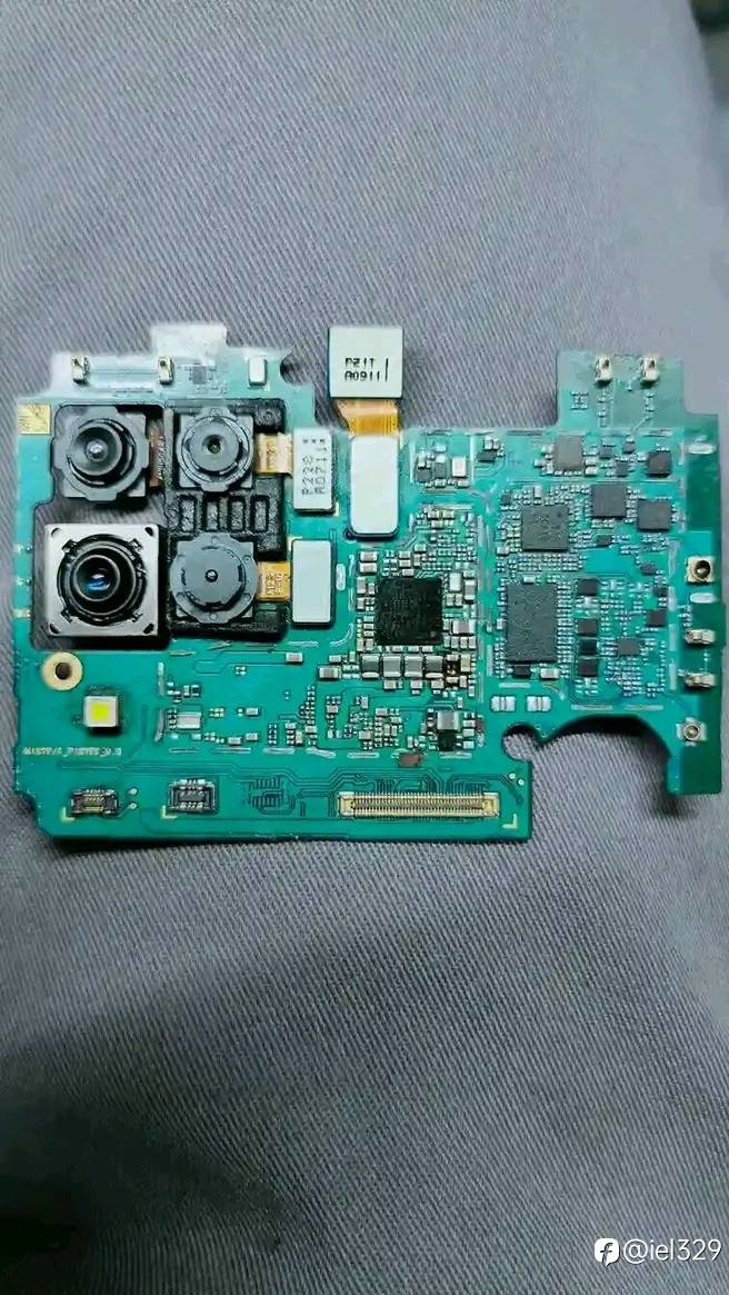 feed-image-2