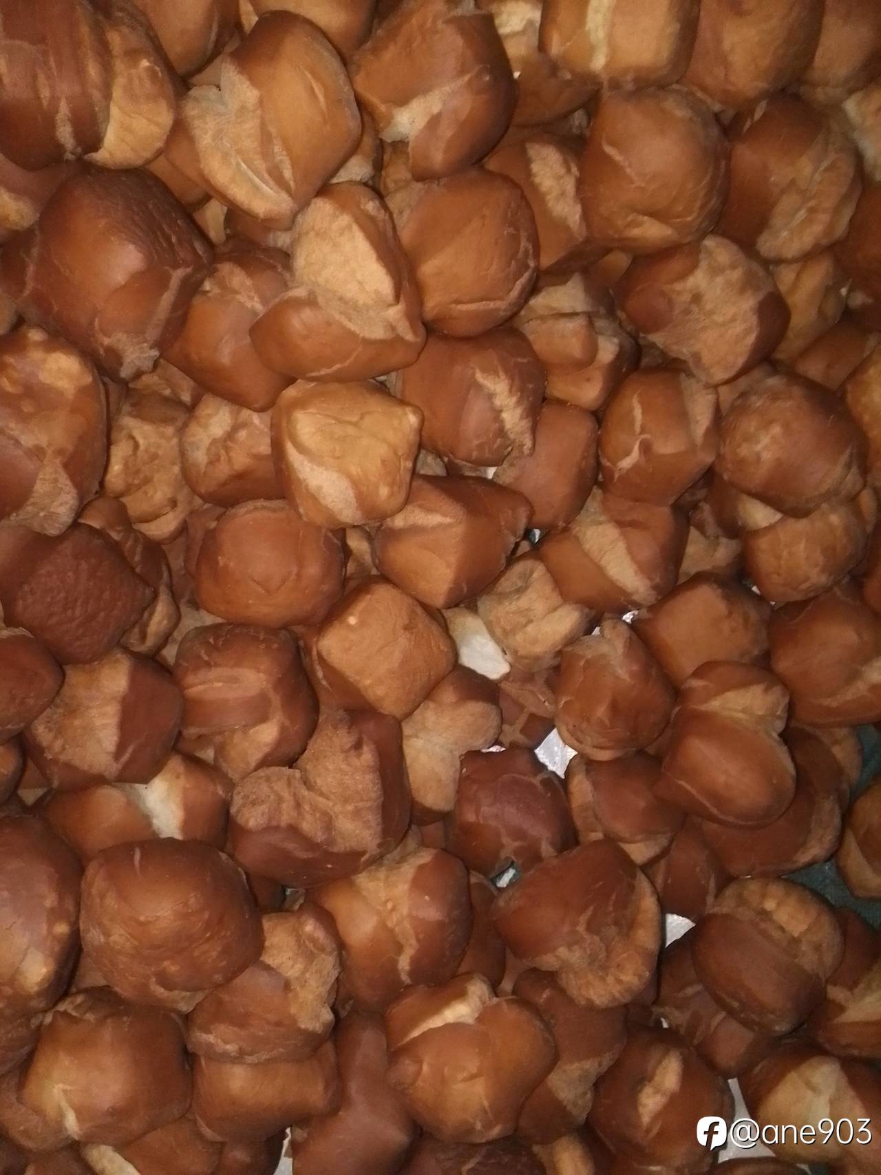 feed-image-0