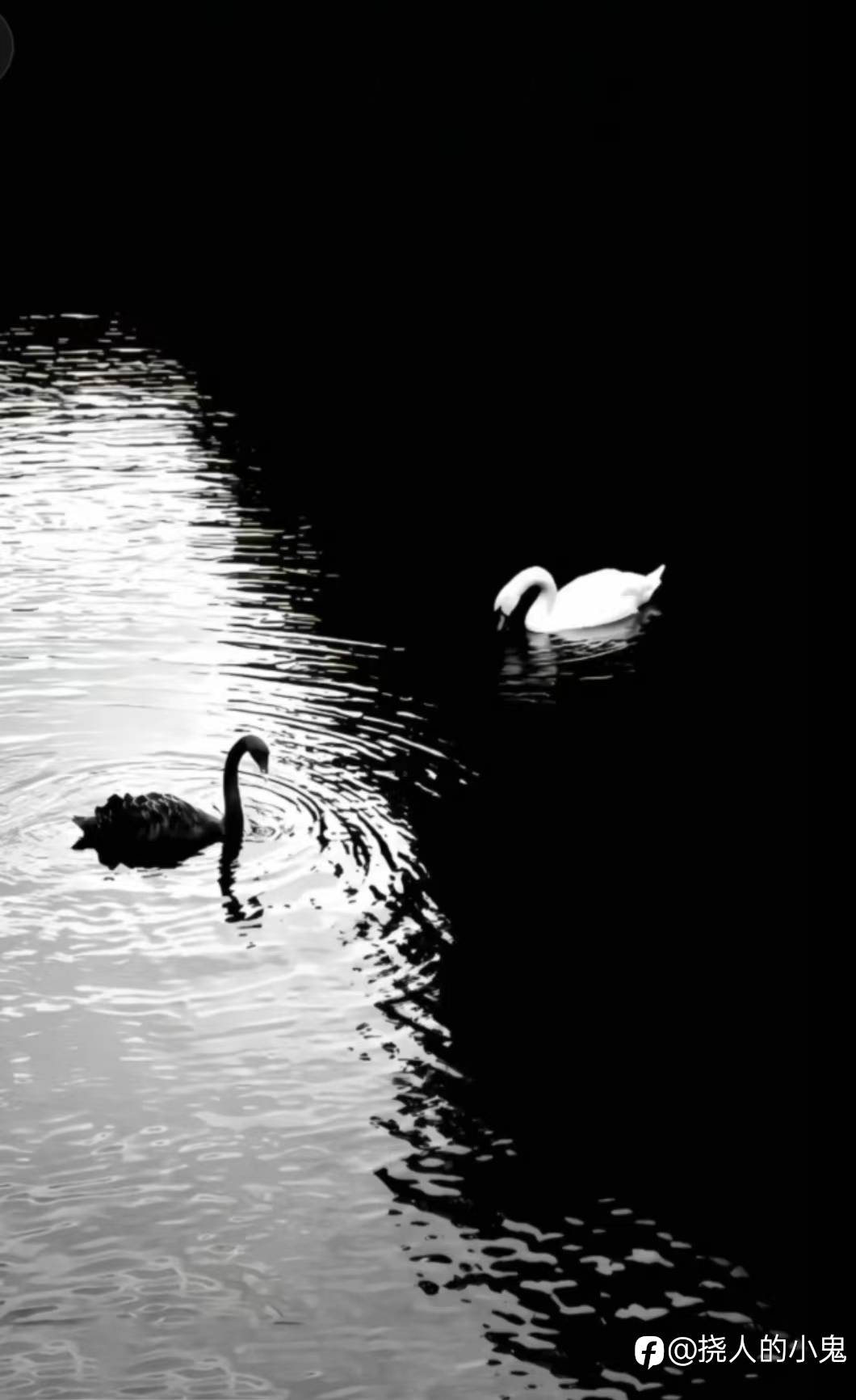feed-image-0
