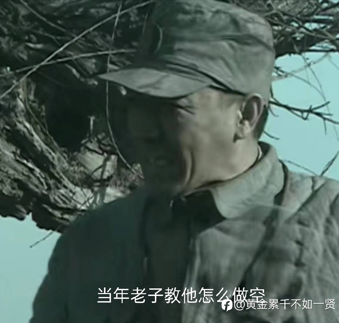 feed-image-2