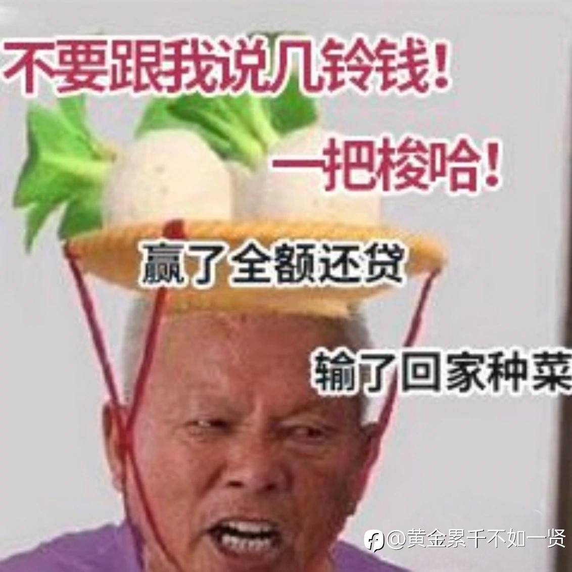 feed-image-0