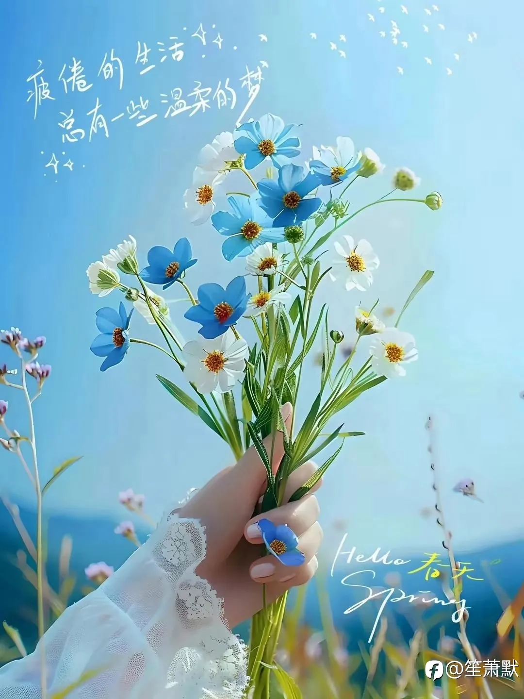 feed image