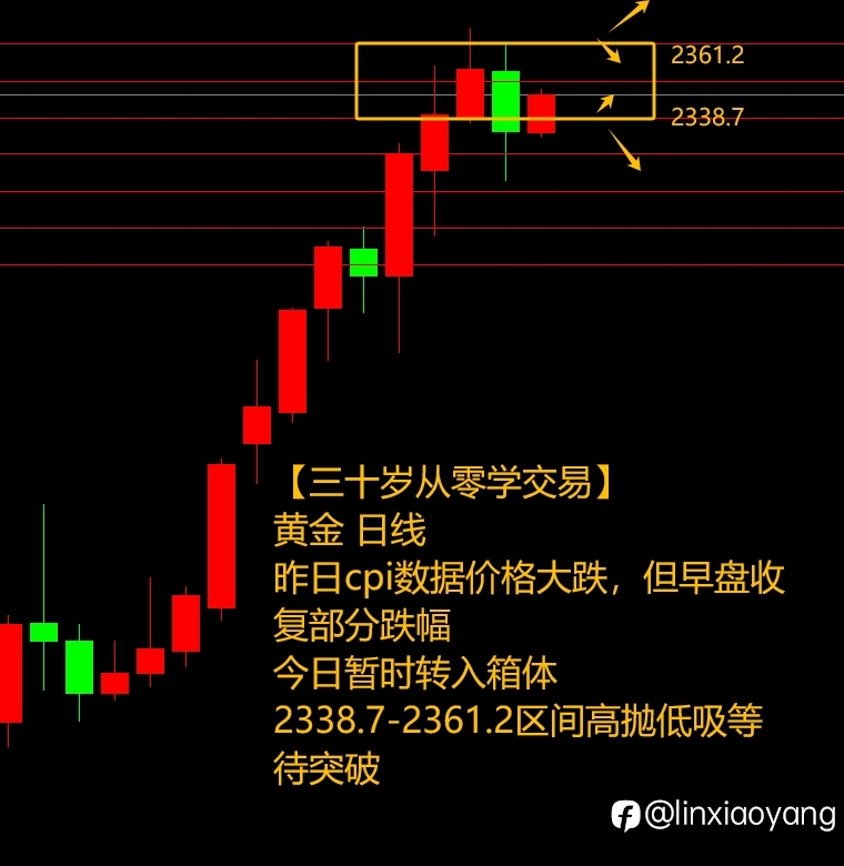 CPI带飞美元暴涨?(三十岁从零学,黄金原油外汇课堂)