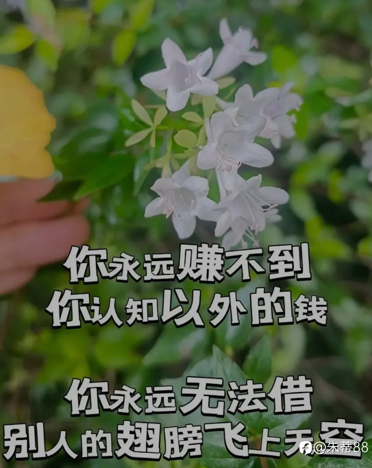 人赚不到自己认知之外的钱