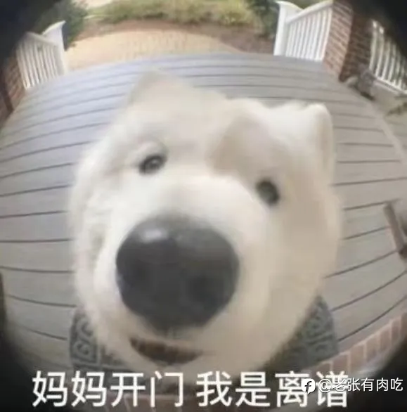 嚯！还没亏光呢？