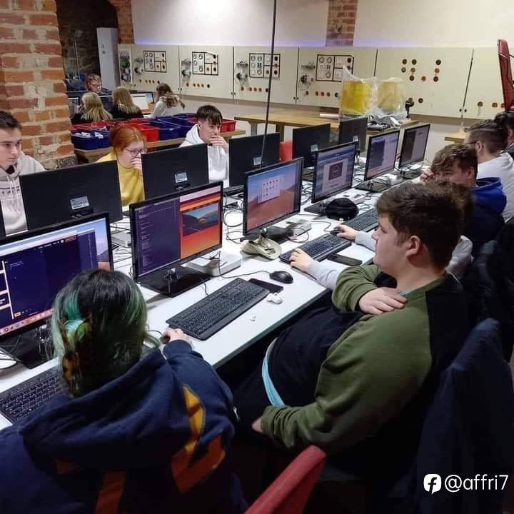 feed-image-1