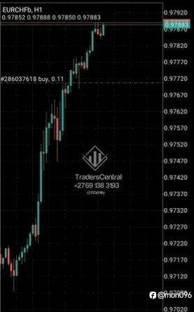 feed-image-0