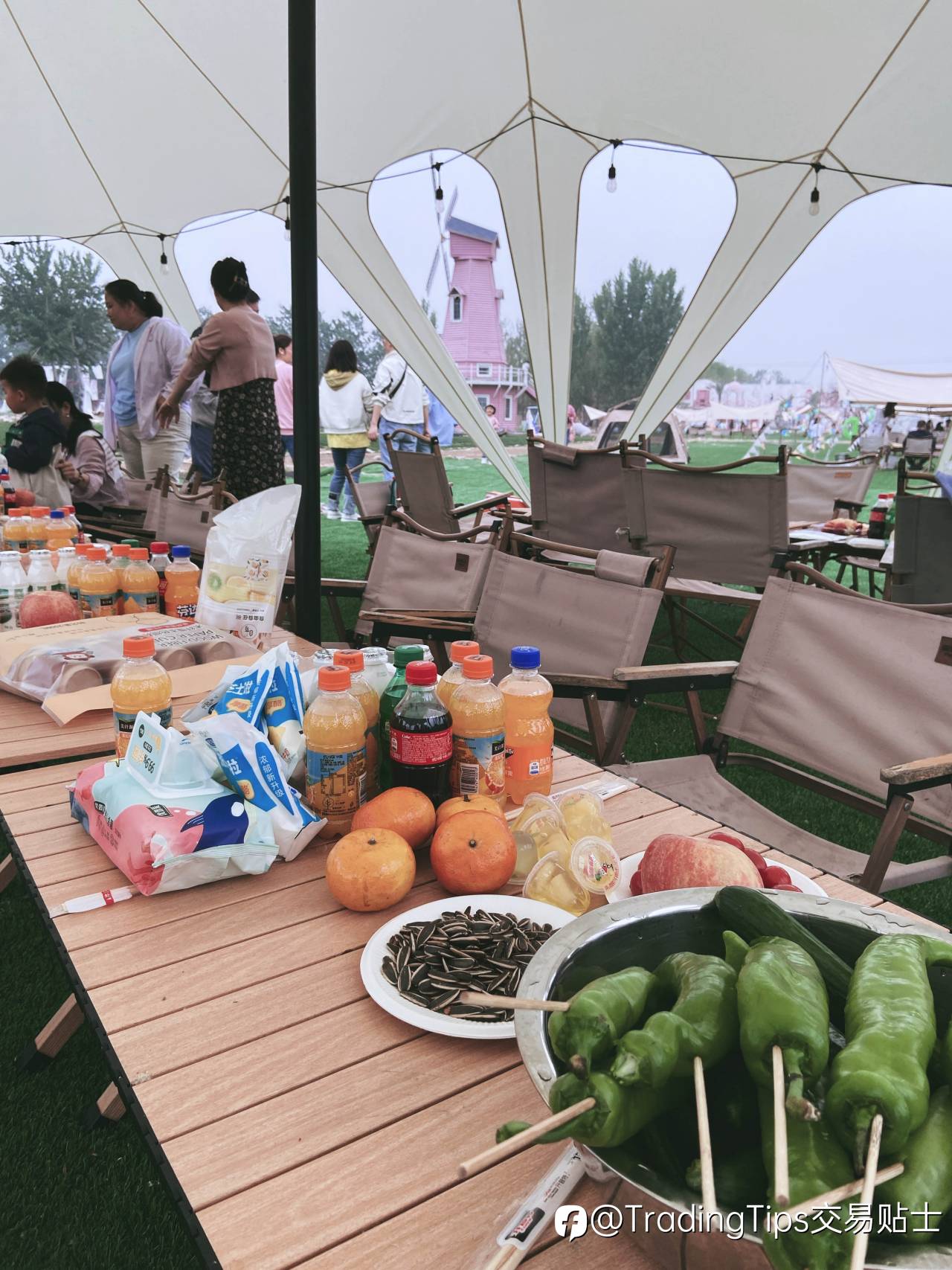 feed-image-2