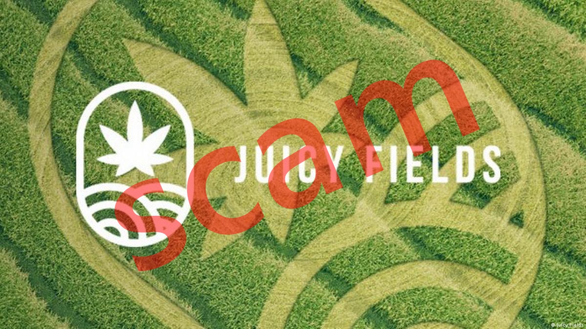 特大诈骗！55万人被JuicyFields投资骗局骗走6.45亿欧元