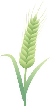 feed-image-2