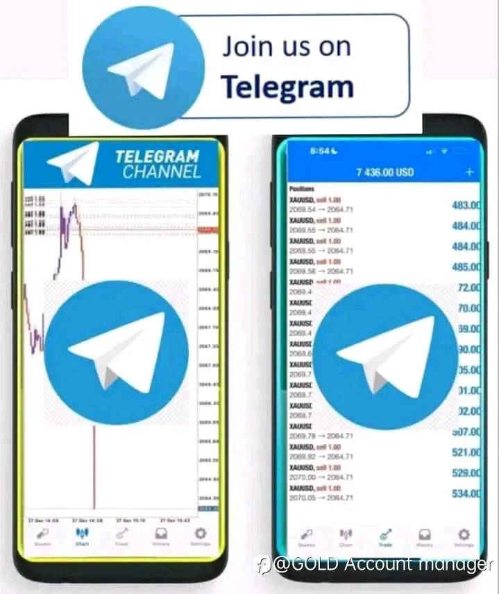 feed-image-1