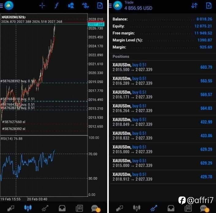 feed-image-3