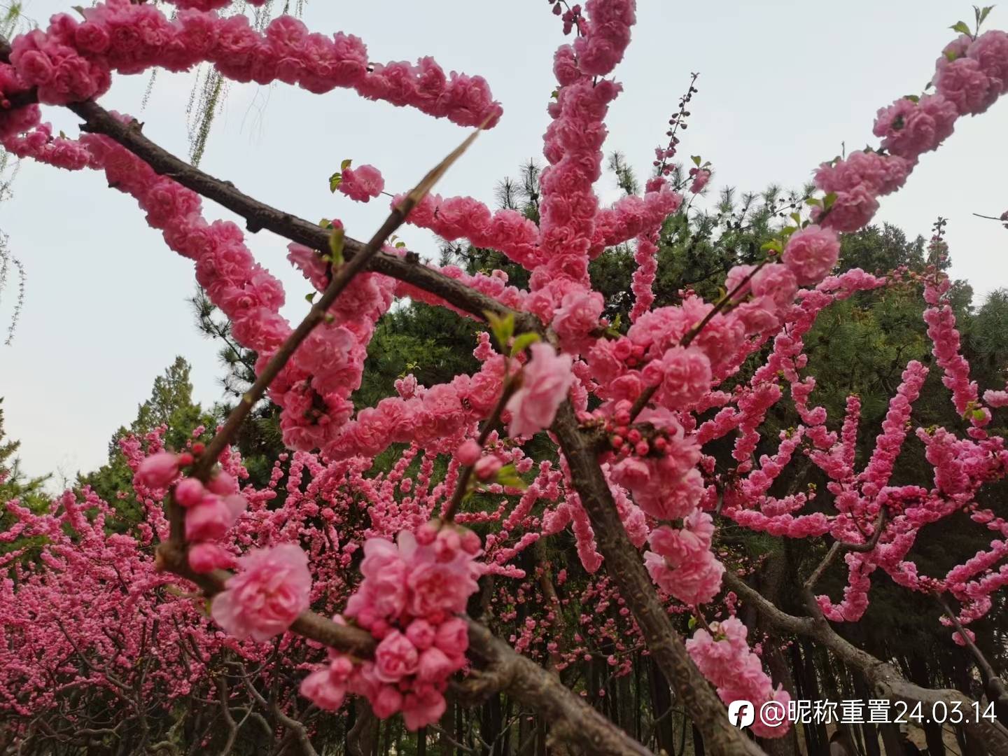 交易中,哪两类人往往能真正赚到钱?