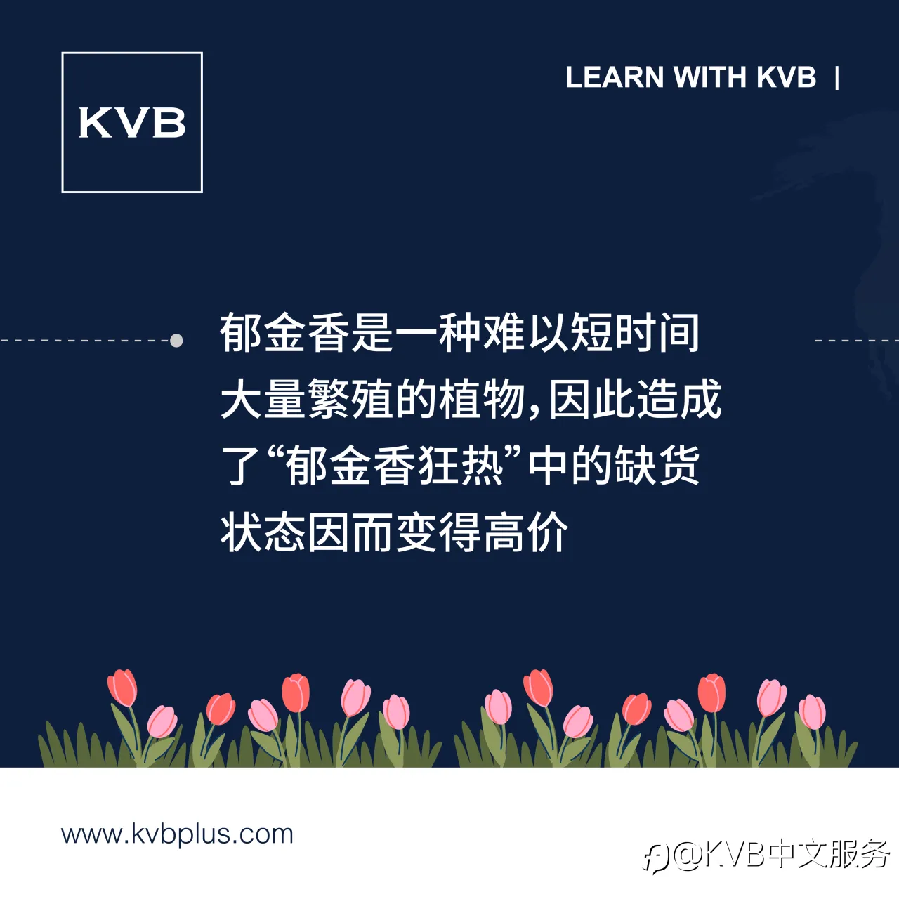 什么是经济泡沫?🫧
