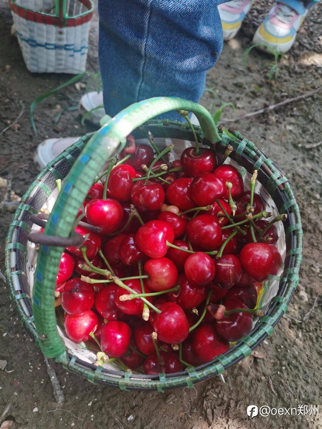 feed-image-2