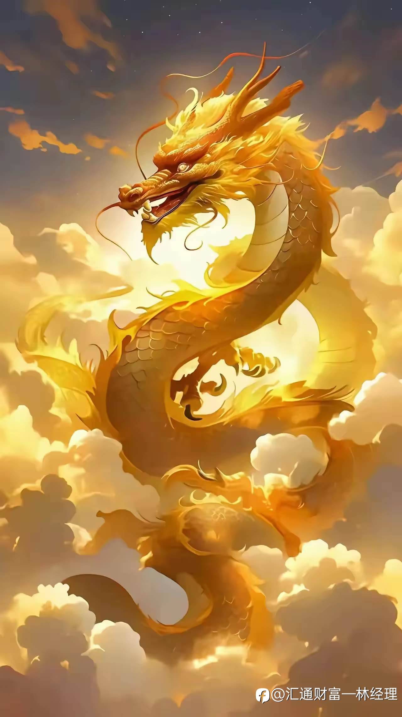 黄金短线继续调整。我们可以低多高空操作