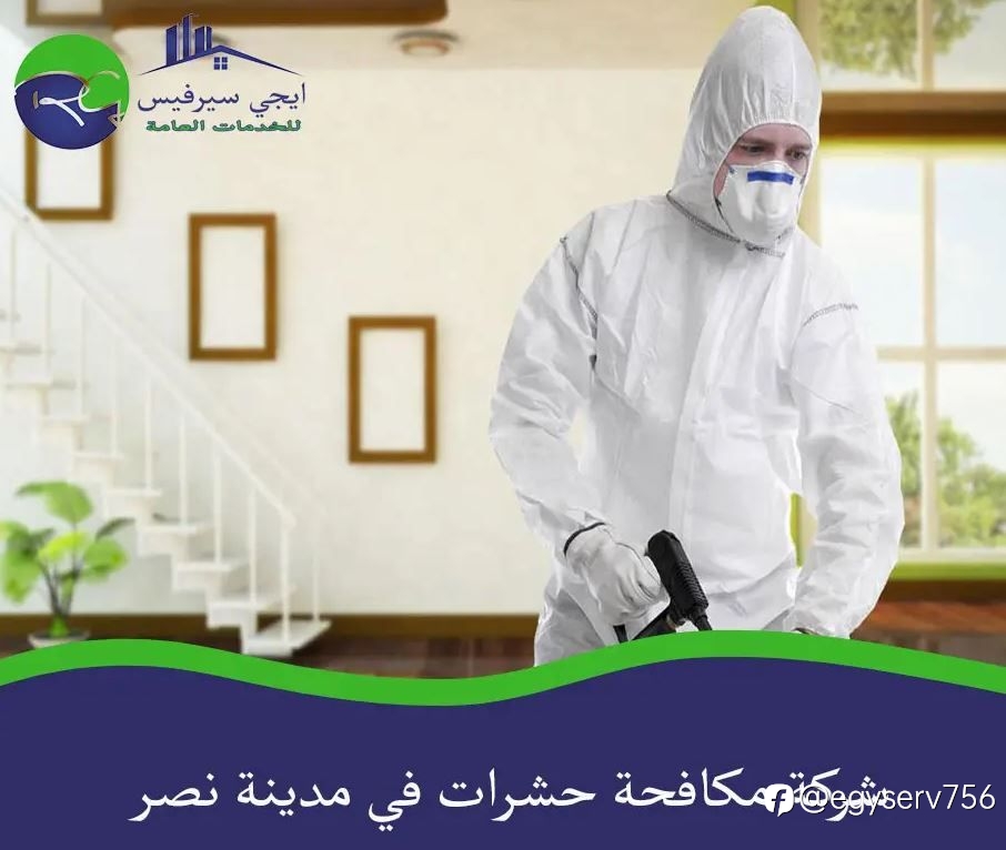 شركة مكافحة حشرات في مدينة نصر