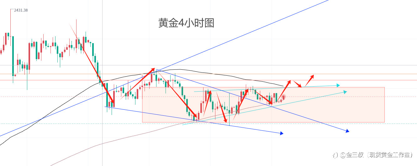 5.9黄金日线诱空2305依旧分水岭！