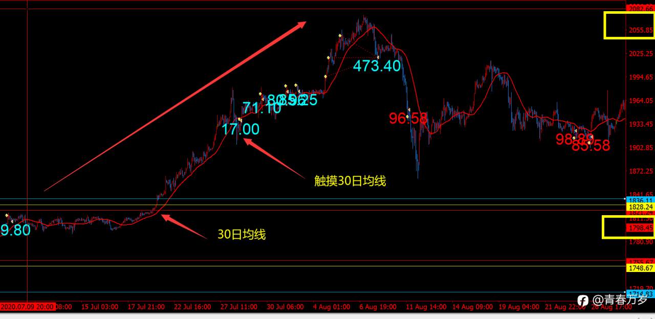 feed-image-2