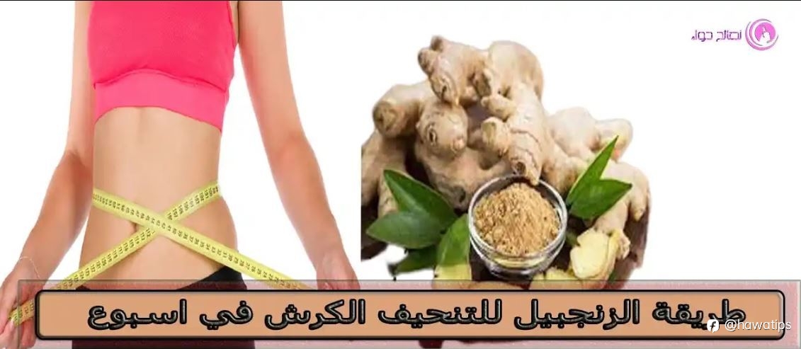 طريقة الزنجبيل للتنحيف الكرش