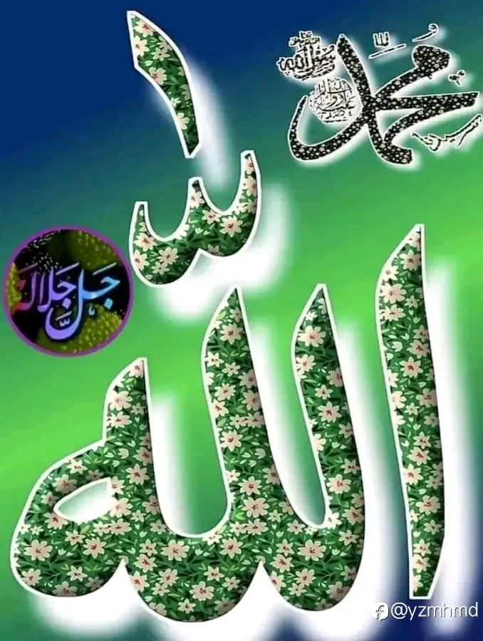 feed image