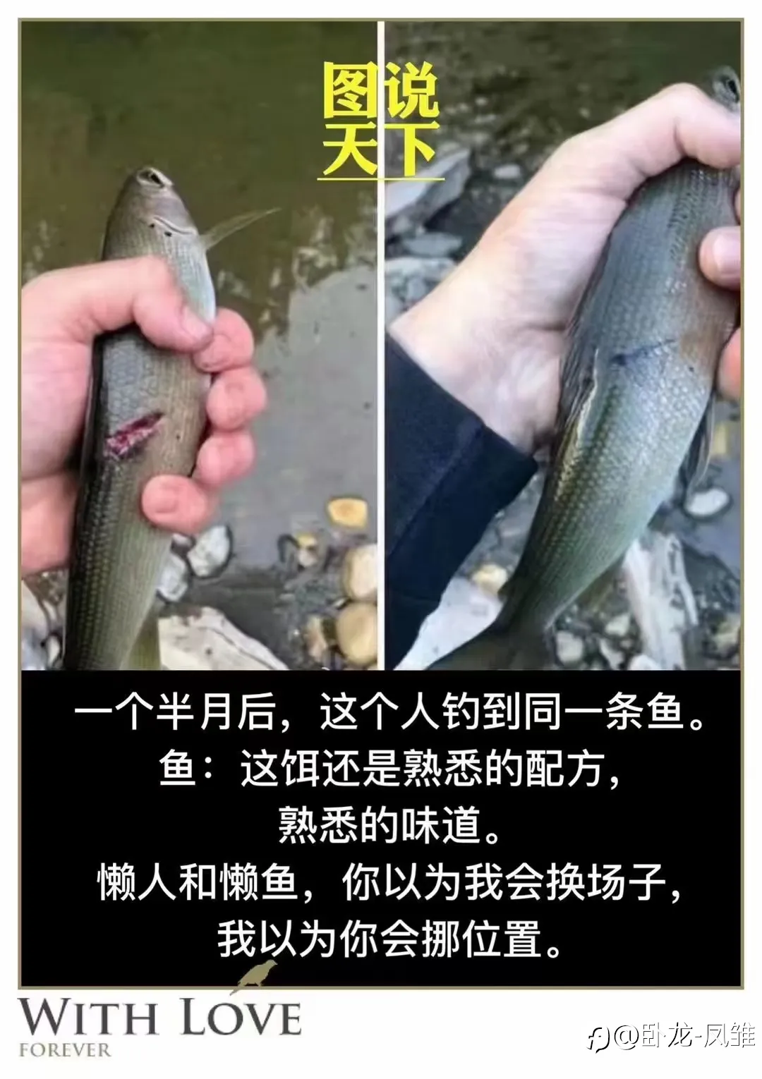 feed image