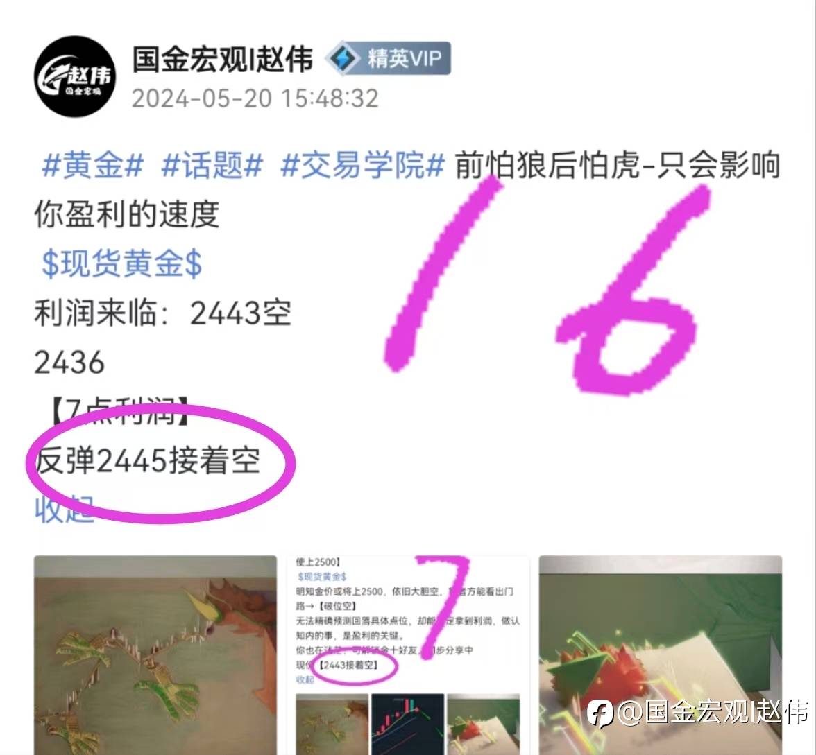 feed-image-1