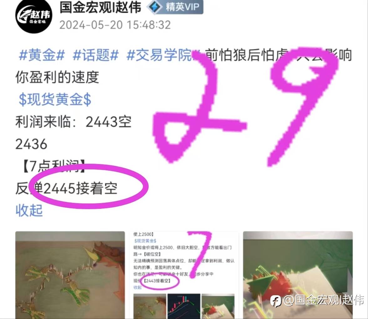 feed-image-1