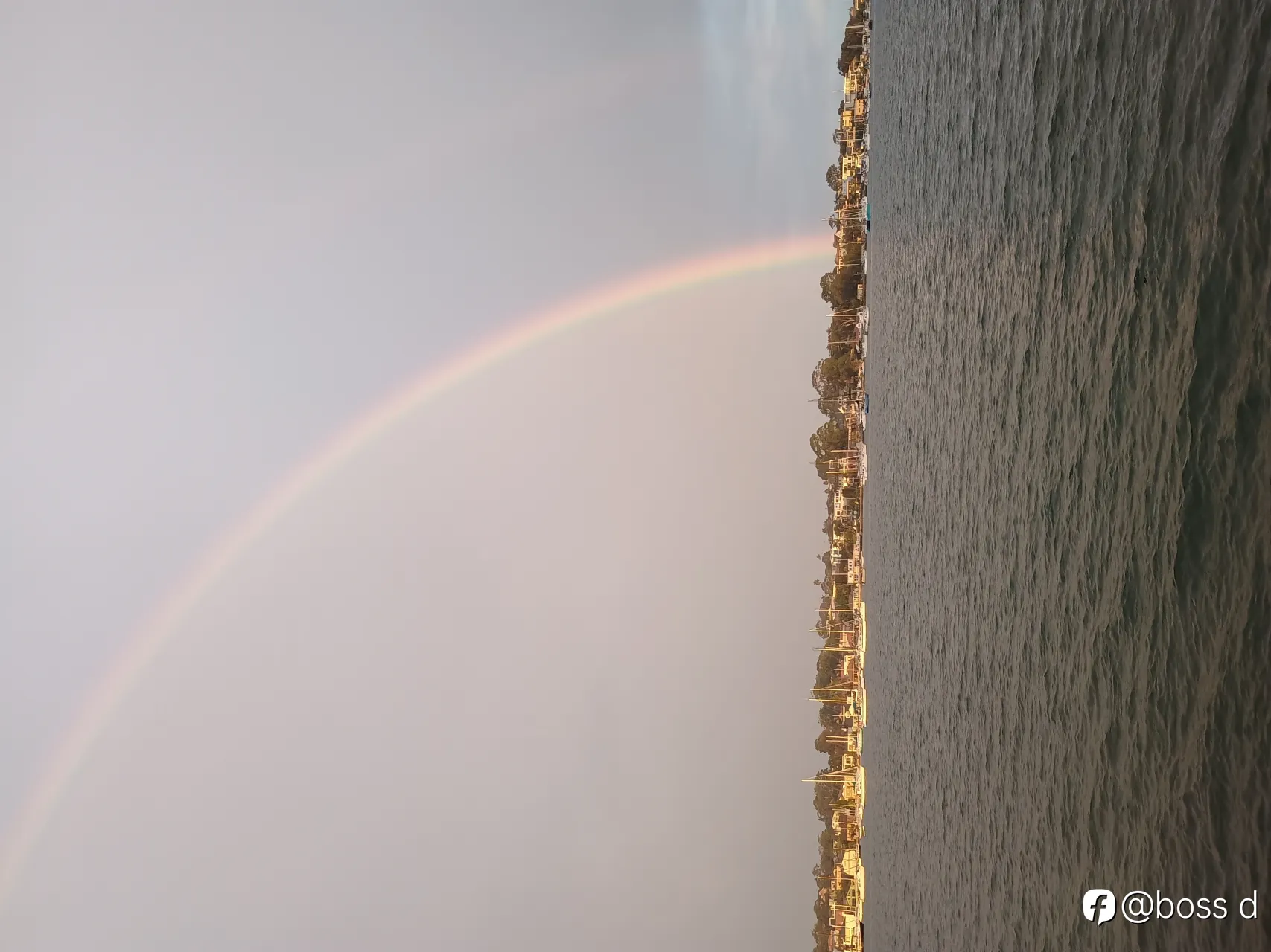 feed image
