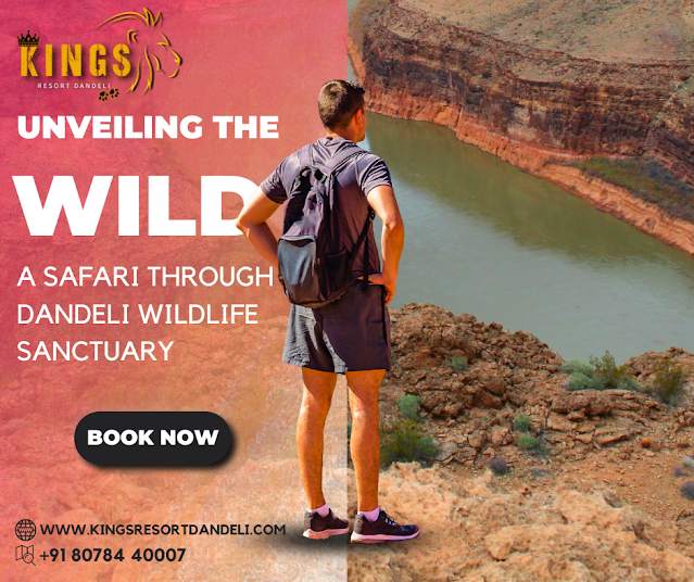 Into the Wild: The Magic of Dandeli Wildlife Sanctuary