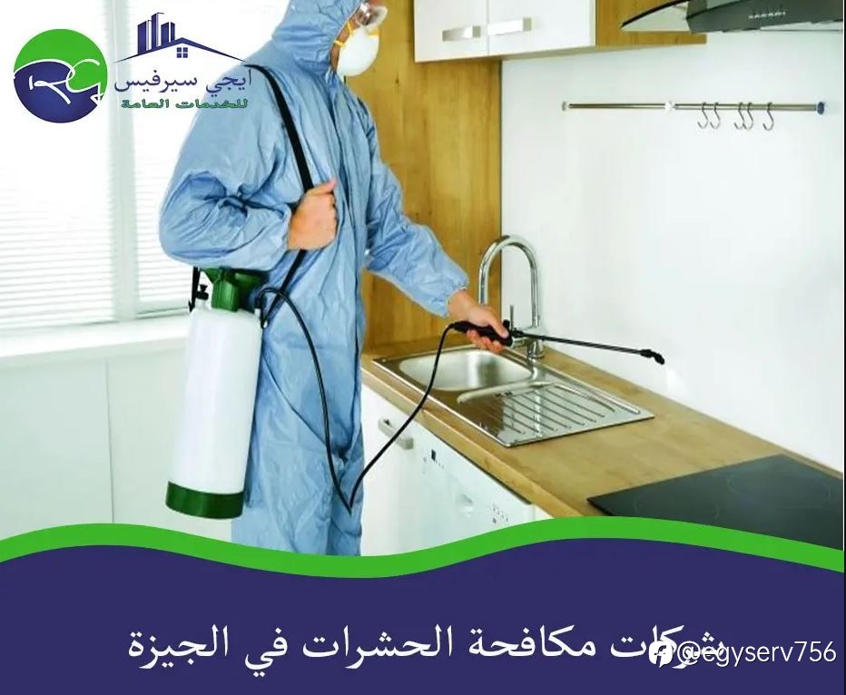 شركات مكافحة الحشرات في الجيزة