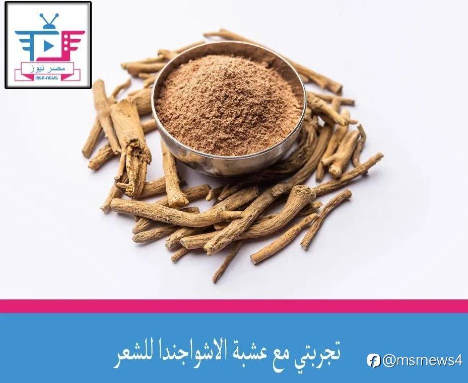 تجربتي مع عشبة الاشواجندا للشعر