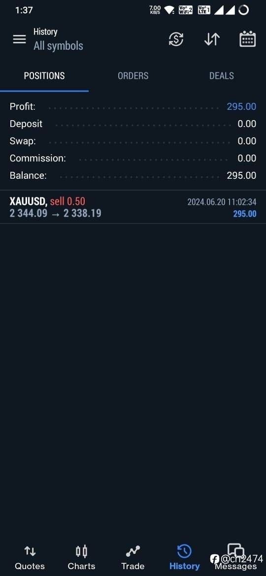 feed-image-1