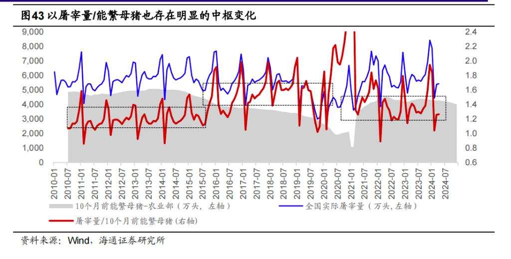 该如何理解和预判猪周期？