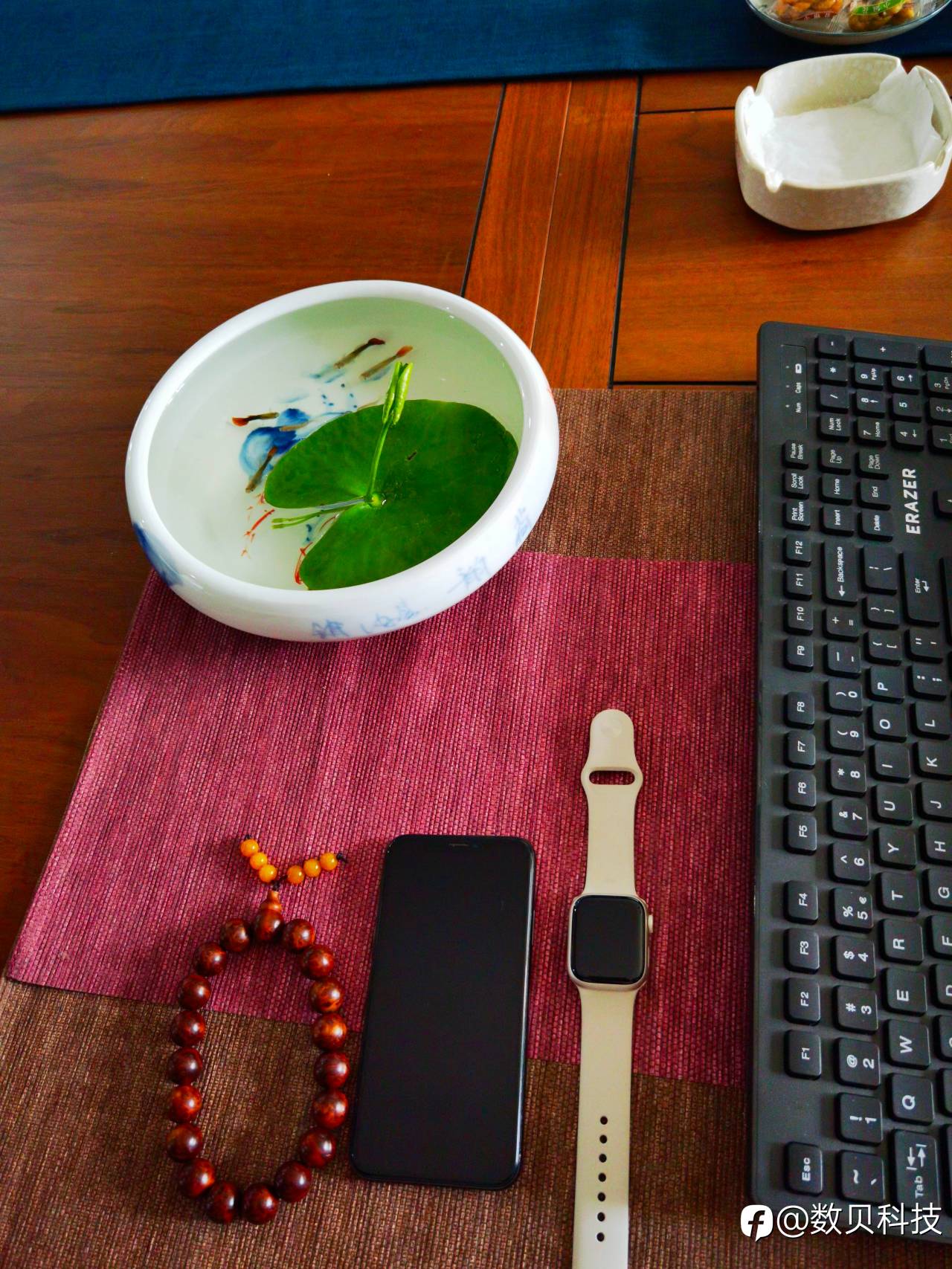 feed-image-1