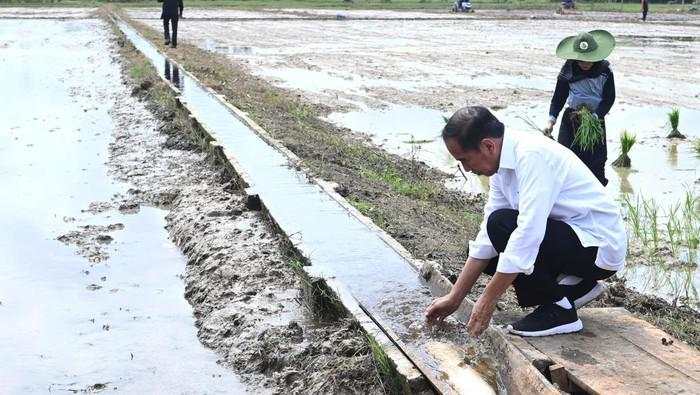 Bikin Pompa Air buat Sawah, Jokowi Mau Petani Bisa Panen 3 Kali!