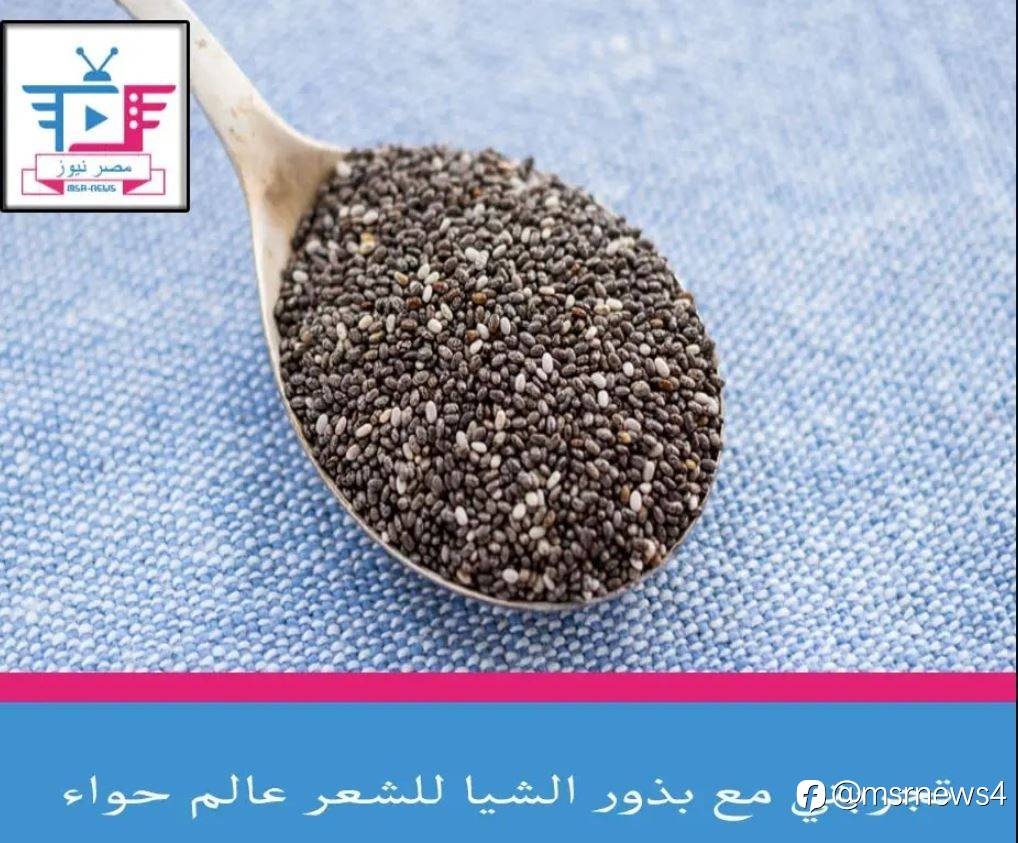 تجربتي مع بذور الشيا للشعر عالم حواء