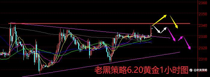 老黑策略：6.20外汇、黄金、原油分析策略