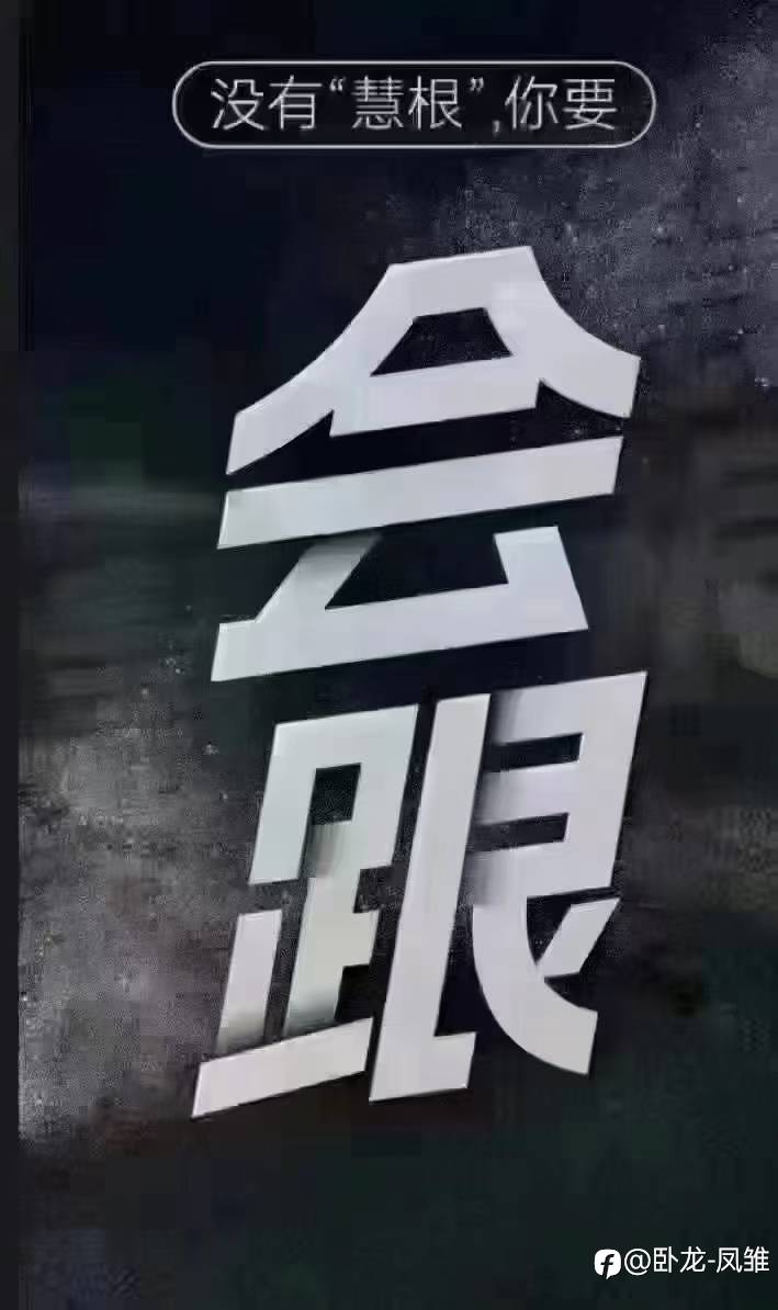 feed-image-0
