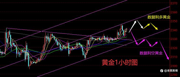 老黑策略：6.20晚盘外汇、黄金、原油分析策略