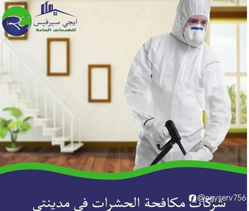 شركات مكافحة الحشرات في مدينتي