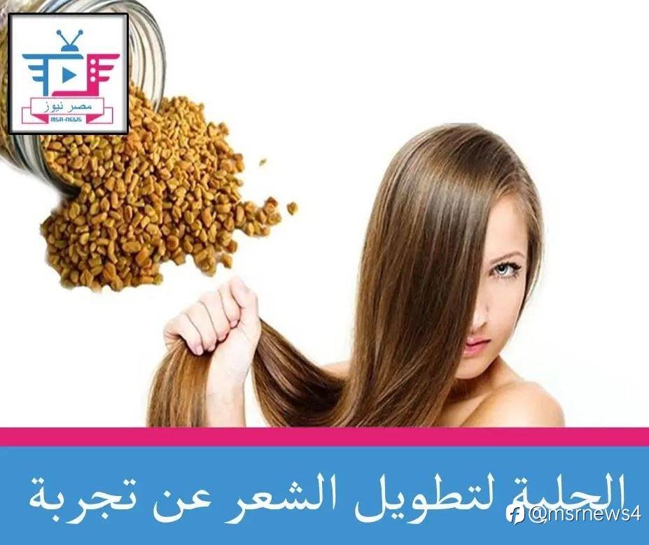 الحلبة لتطويل الشعر عن تجربة