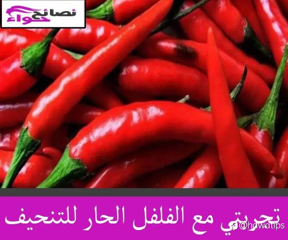 تجربتي مع الفلفل الحار للتنحيف