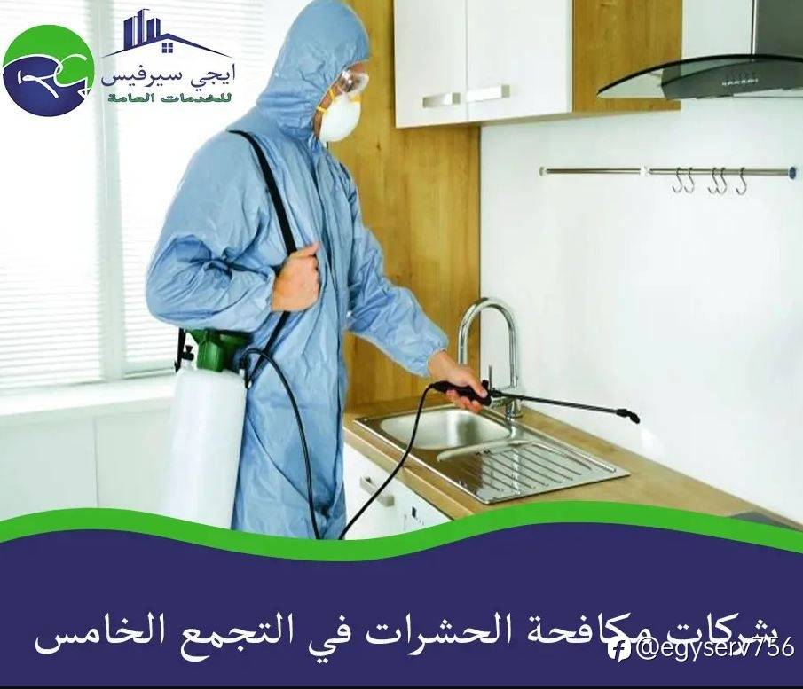 شركات مكافحة الحشرات في التجمع الخامس