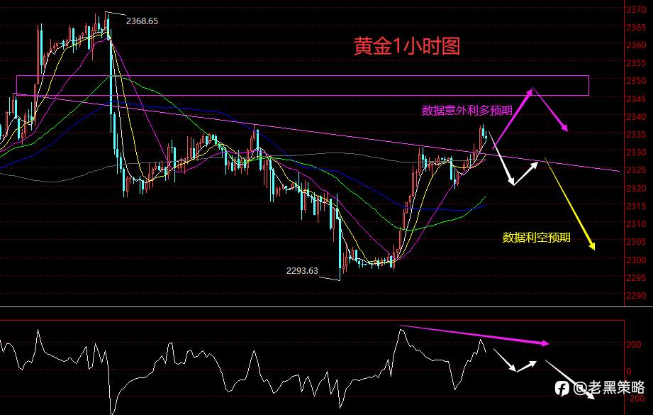老黑策略：6.28晚盘外汇、黄金、原油分析策略