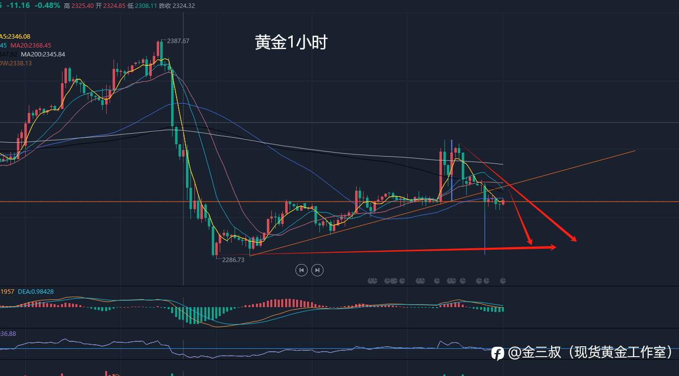 6.13黄金一小时惊现双鸭喝水