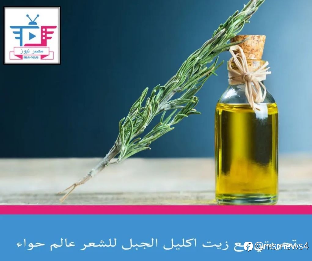 تجربتي مع زيت اكليل الجبل للشعر عالم حواء