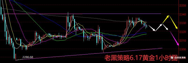 老黑策略：6.17外汇、黄金、原油分析策略