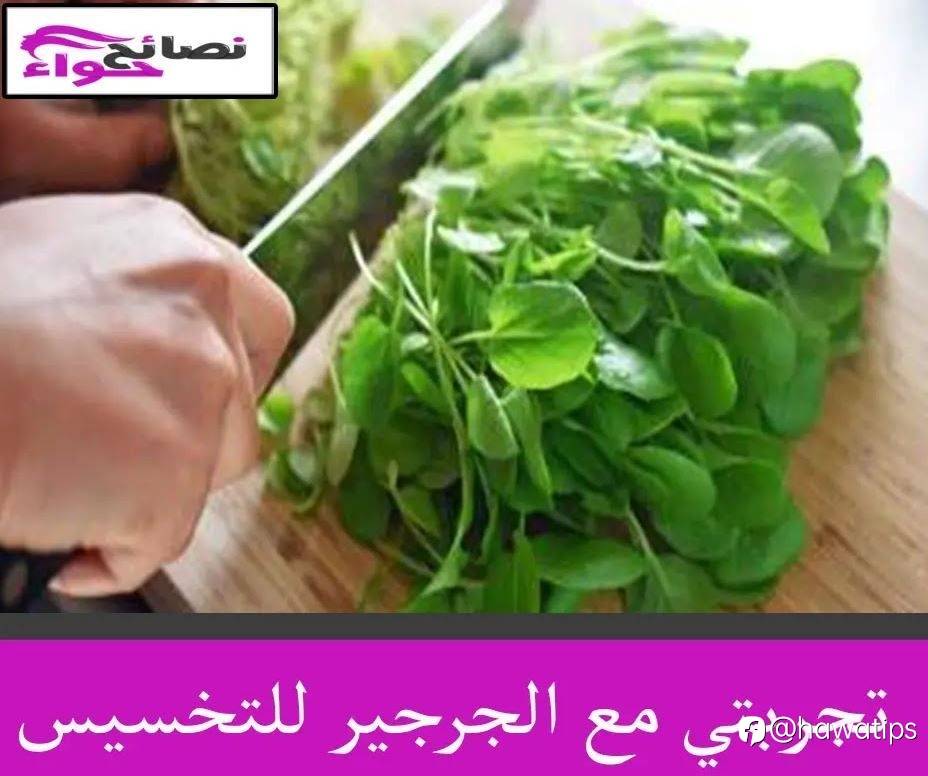 تجربتي مع الجرجير للتخسيس