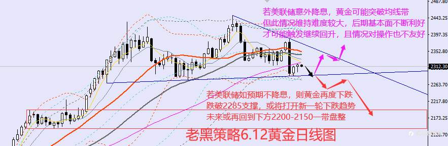 老黑策略：6.12外汇、黄金、原油分析策略